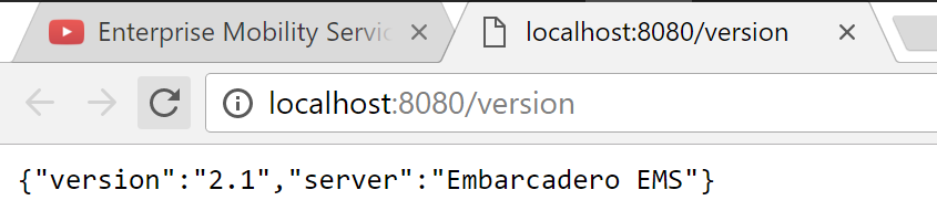EMS_version