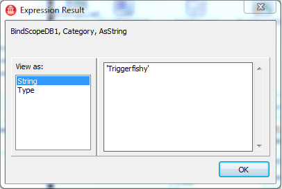 Expression Result window