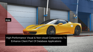 high performance visual non visual components to enhance client part of database applications
