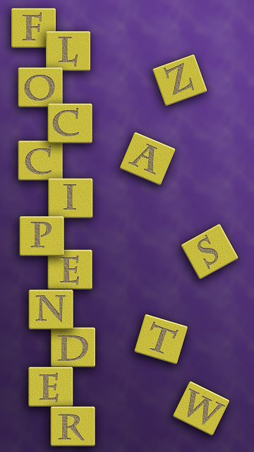 How To Become The Ultimate World Anagram Champion! Screen 3