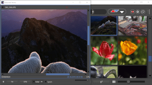 fotoarray4