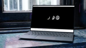 wildbitdev2