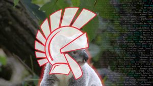 delphi sydney koala