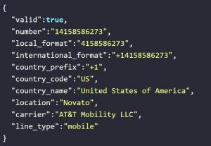 img-2-numverify-api-restful-api-requeset-delphi-rad-studio-c-builder-python-embarcadero-7689573-2616983-2