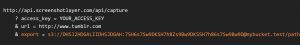 img-3-screenshotlayer-api-delphi-export-to-aws-s3-bucket-or-ftp-4316883-2