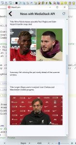 img-final-how-to-create-a-news-app-with-delphi-firemonkey-using-mediastack-api-1740015