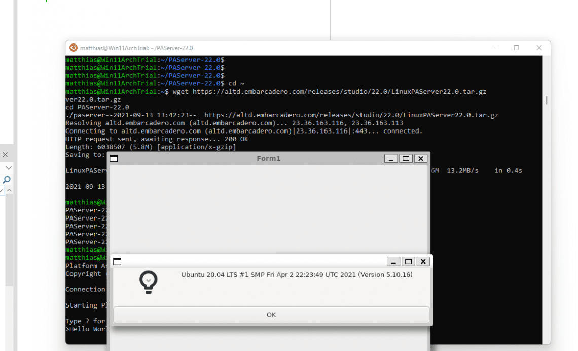 fmxlinuxgui