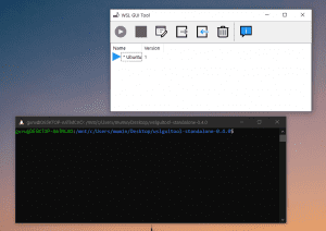 wsl-gui-tool-delphi-object-pascal-gui-delphi-programming-8535876-2