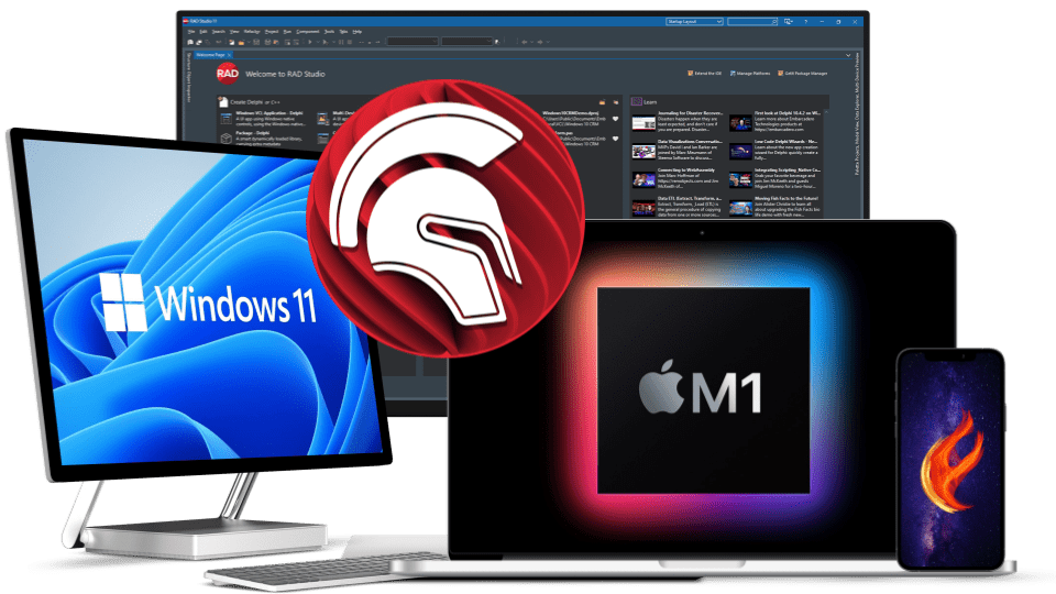 What You Need To Know - A Beginner's Guide To Windows UI Toolkits. RAD Studio visual.
