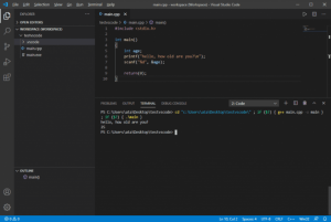 vscode-1024x685-9408420