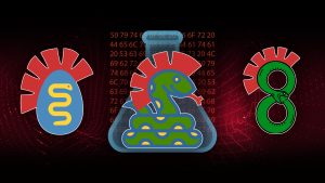 p4d-data-sciences-banner