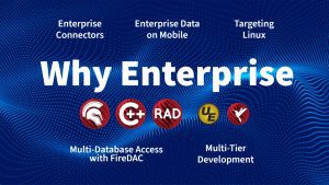 blog-2_-enterprise-1