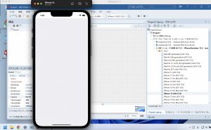 delphi-ios-simulator-ja