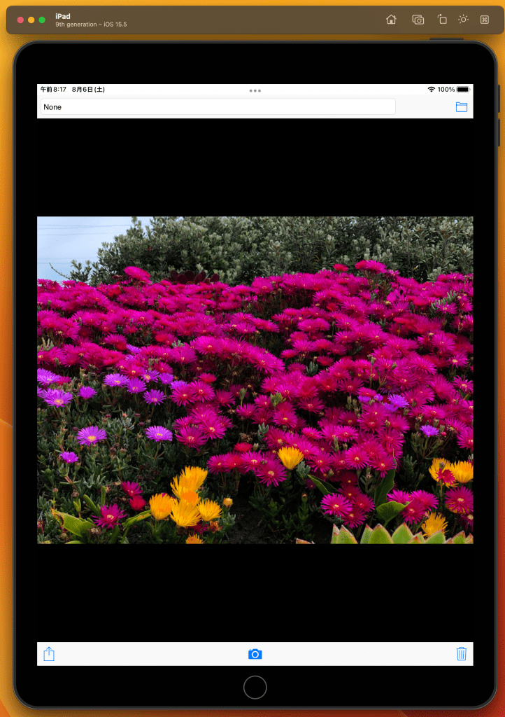 iossimulator_2-2