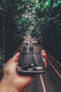 pexels-matheus-bertelli-799443
