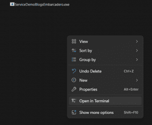 install-windows-11-service-built-with-delphi-6483549