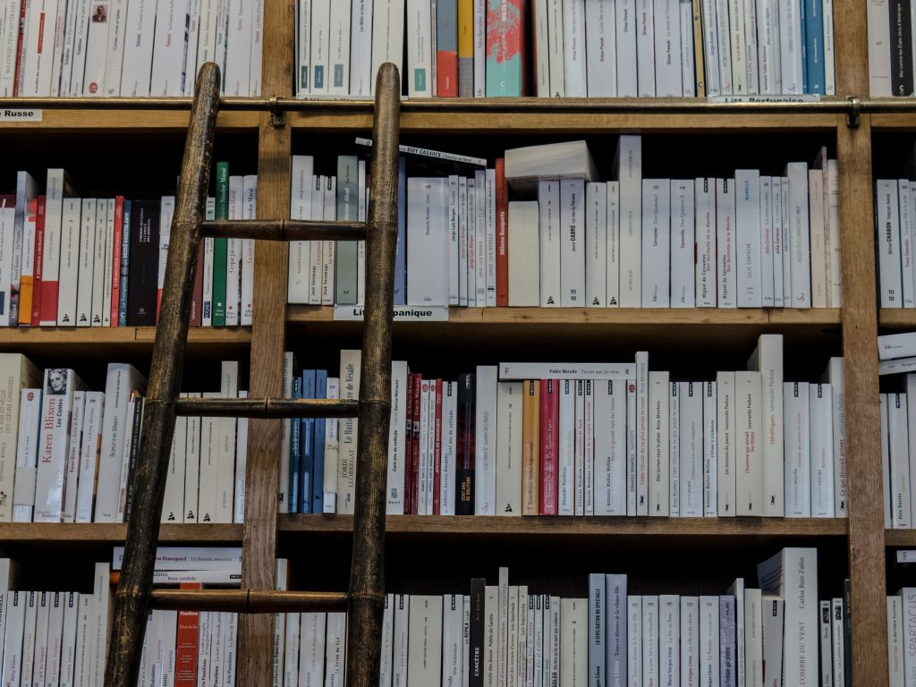 How I Risked My Professional Career And Won - a row of bookshelves
