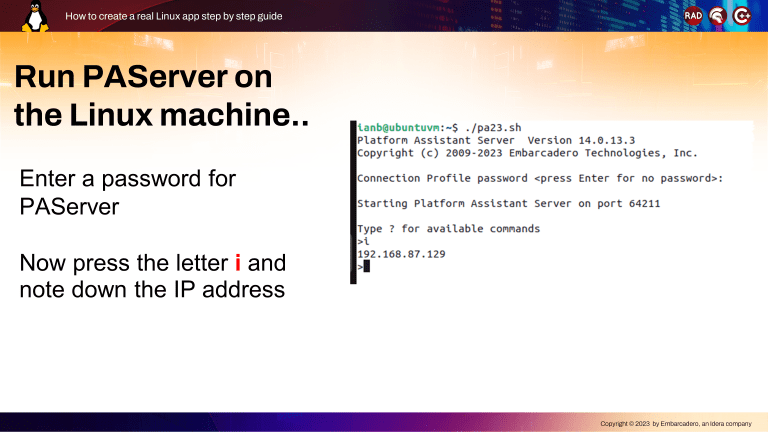 How To Create A Real Linux App Step By Step Guide – Embarcadero RAD ...
