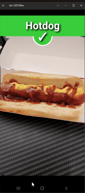 Not a Hotdog! How to Use AI Object Recognition in Your Apps - screengrab of the working app