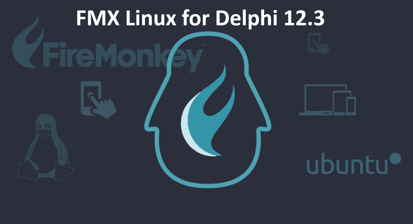 fmxlinuxfor123-1161772-1159861